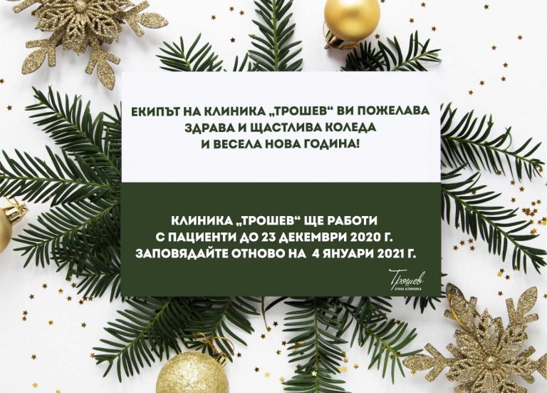 Празнично работно време 2020/2021